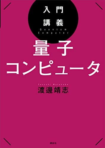 入門講義　量子コンピュータ (ＫＳ物理専門書)