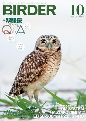 BIRDER（バーダー）2025年10月号　双眼鏡なんでもQ&A